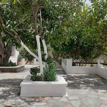 Villa Tillia Panormos  外观 照片
