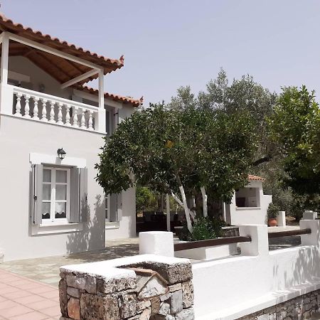Villa Tillia Panormos  外观 照片