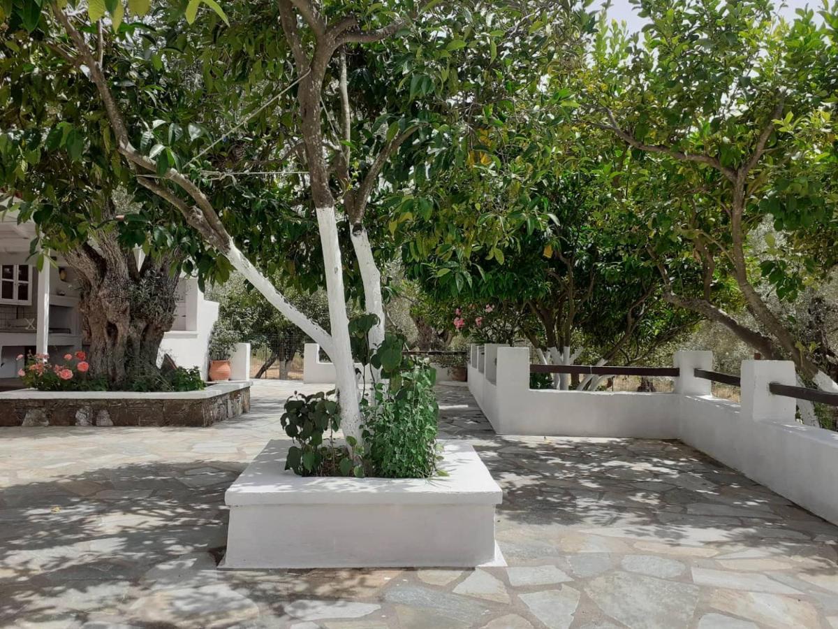 Villa Tillia Panormos  外观 照片