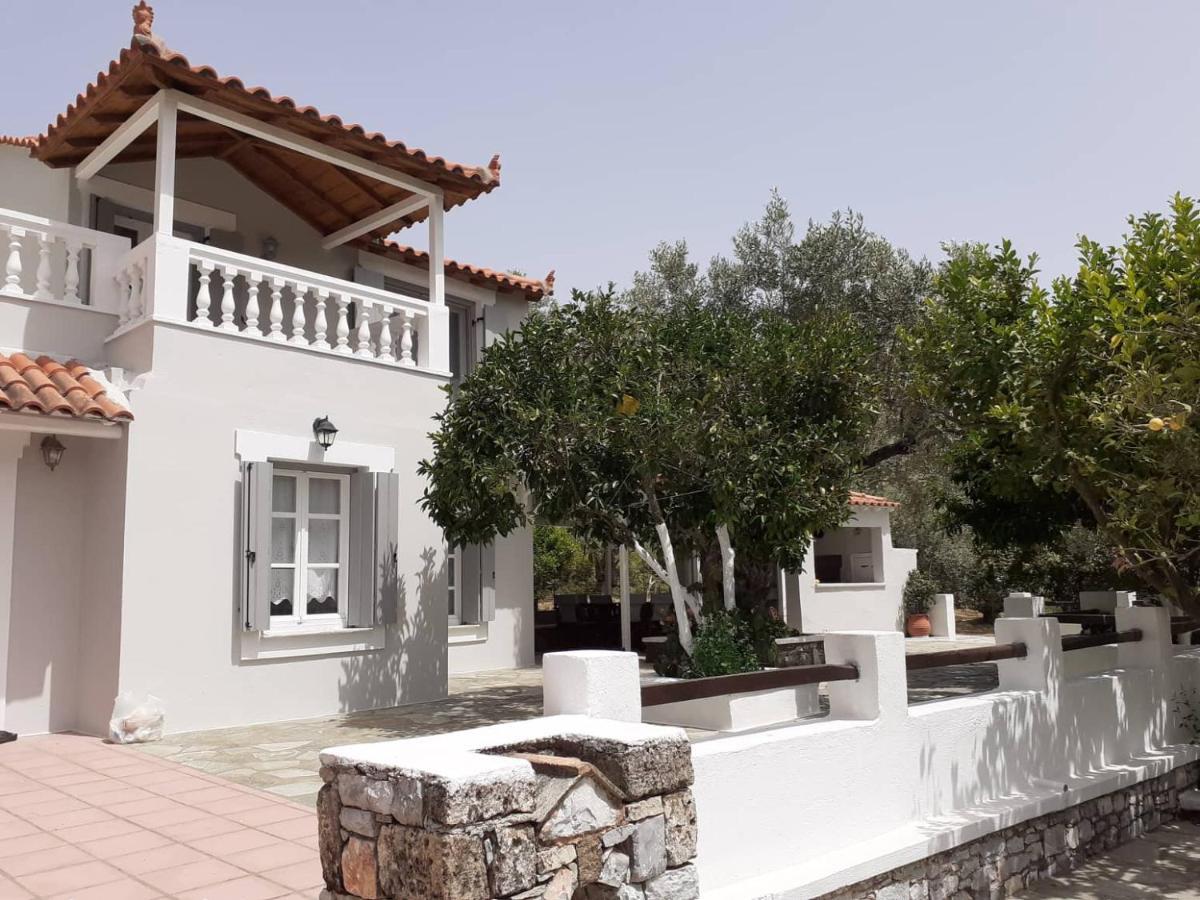 Villa Tillia Panormos  外观 照片