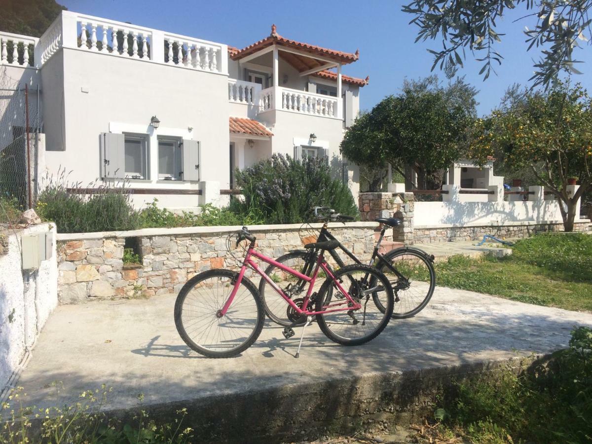 Villa Tillia Panormos  外观 照片