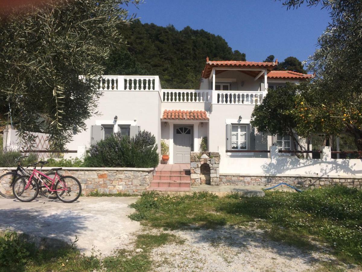 Villa Tillia Panormos  外观 照片