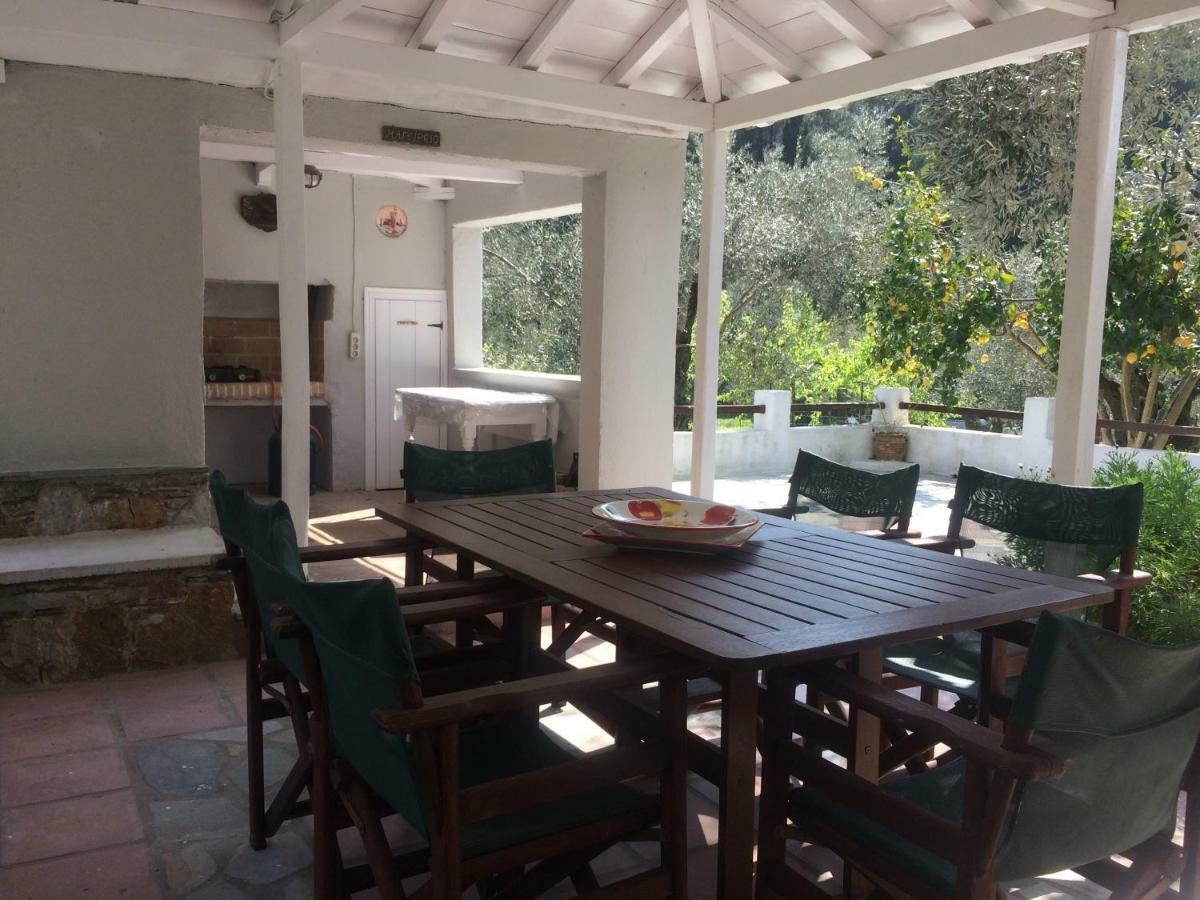 Villa Tillia Panormos  外观 照片