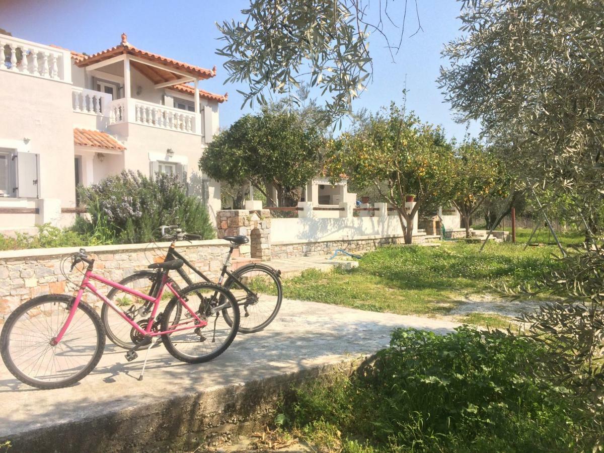 Villa Tillia Panormos  外观 照片