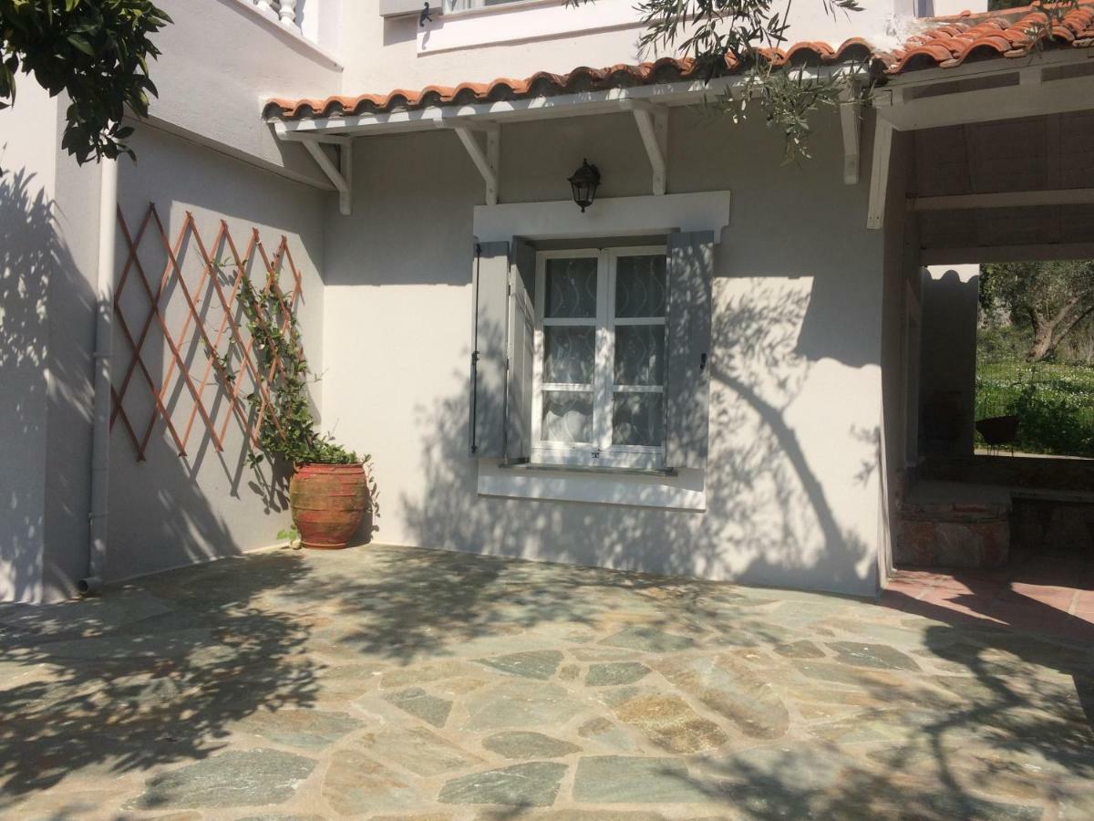 Villa Tillia Panormos  外观 照片
